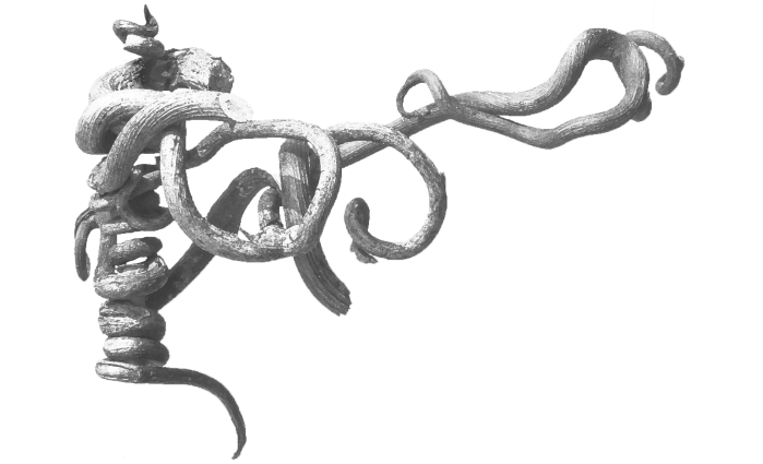 By Friedrich Haag (Own work) [CC BY-SA 4.0 (https://creativecommons.org/licenses/by-sa/4.0)], via Wikimedia Commons